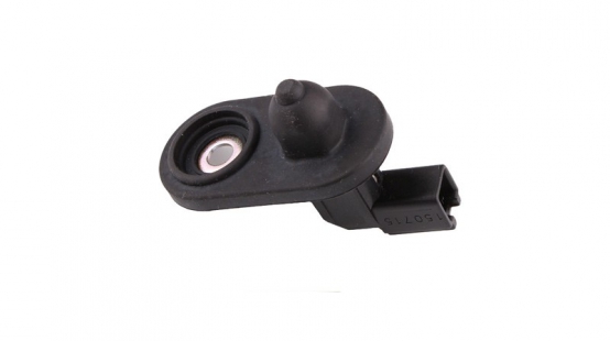Door light switch assembly